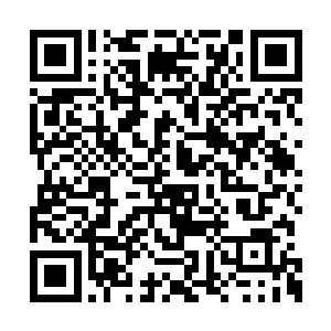 要么就是要碰到昊天这样完全发挥不出实力的人二维码生成