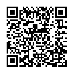 要么干脆把万里河山图里天元神族的强者们召唤出来二维码生成