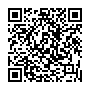 要么怂到彻底……咱们这位太子既想要和太子党亲密无间二维码生成