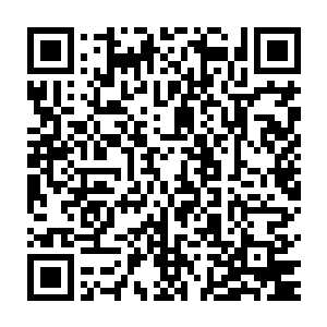 要么是自己在万神原的表现通过魔族的某些渠道让主宰魔神知道了二维码生成