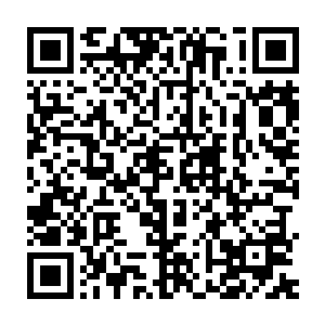 要么自己看书要么上星域折腾生意或者进入到制作中心学自制机甲二维码生成