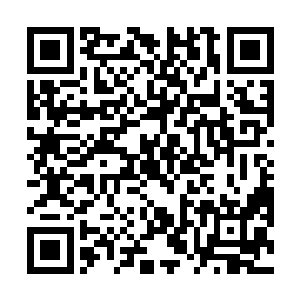 要他们第一波登上有不死军团和巴博萨守卫的黑珍珠号二维码生成