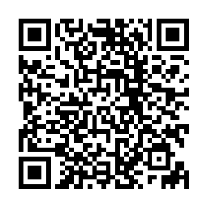 要击败艾楠这个曾经力压他强势夺取全军区第一的对手了二维码生成