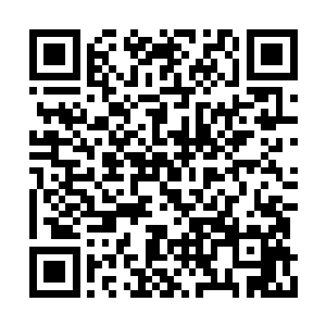 要压制一位全盛状态的界主也不是什么简单的事二维码生成