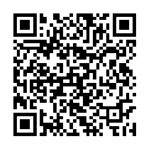 要吸血的话……你旁边不就有个现成的哥布林在吗二维码生成