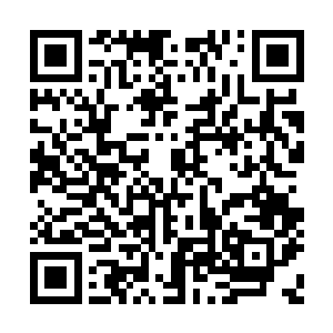 要在这个世界的那些歌曲里选择出符合自己胃口二维码生成