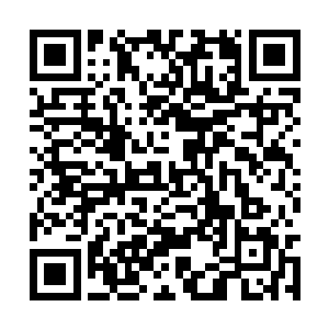 要坚持以叶青擅自进攻蔡朝殖民区的内战进行指控二维码生成