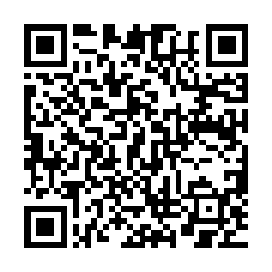 要对手认输或者对手完全失去了战斗力不能站起来了才算获胜二维码生成