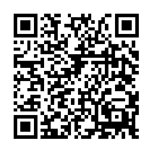 要想弄上一条直接可以开到我们现在歇息这个地方二维码生成