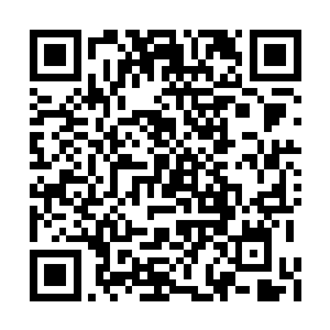 要想真正实现日本军国主义仅靠自民党是不行的二维码生成
