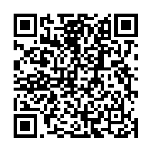 要我们注意青锋剑派的那个剑气境九段初期修为的弟子楚暮二维码生成