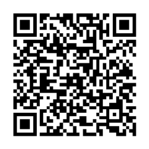 要我说前几天查出太仓亏空的稽查使朱平安朱大人二维码生成