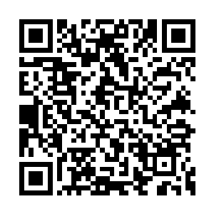 要找到南天冰云和欧奕金娃娃应该不是什么难事二维码生成