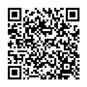 要把吴梦溪放下翻自己那点临时叮嘱从国内带过来的行李二维码生成