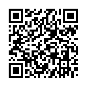 要把想法变成现实还有一年的时间二维码生成