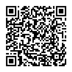 要抬出去的喜盒跟盛了枣子花生桂圆莲子的四样锦匣上也盖了一张红喜字二维码生成