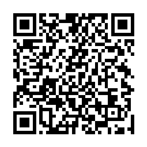 要换成她原本身体的腰围……估计她这会儿可以去撞墙了二维码生成