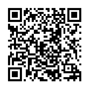 要是一旦踏进去了腿便会吸住得挣扎许久才能挣脱二维码生成