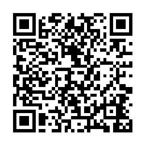 要是一般武者这时候绝对被这庞大的力量瞬间压垮二维码生成