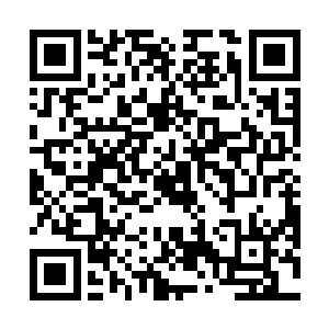 要是一般的人或者一到了海面上就向着船拼命的游过来二维码生成