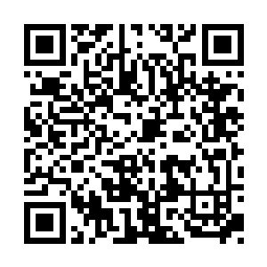 要是下次有谁再敢在他们面前提什么华夏人好客二维码生成