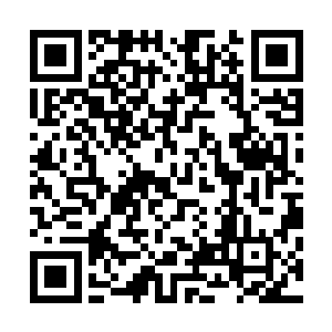 要是不出意外的话最后的胜利肯定是属于龙傲天他们这边的二维码生成