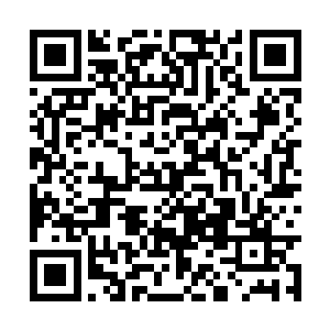 要是不愿意合作你就自己去杀了白门灭了修罗家族二维码生成