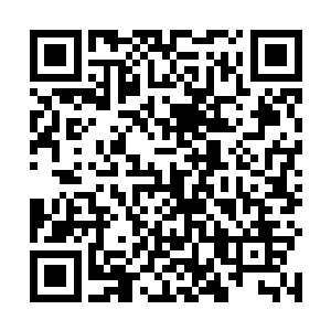要是不能灭掉这么多金乌族的强者那才是不正常的事情二维码生成