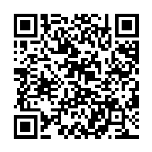 要是不说凭我们手中的证据一样可以对你们提起公诉二维码生成