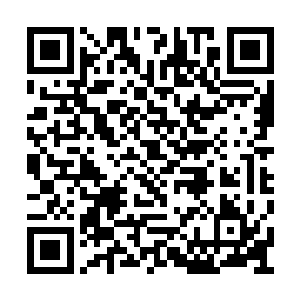 要是主人出了什么事我们也一样会和主人去死的二维码生成