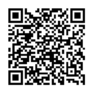 要是事后雁山剑仙知道他们竟然任由叶秋虹一个人去送死二维码生成