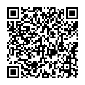 要是他一刀把自己的师父辛苦命给捅死死亡森林的救命之恩就两清二维码生成