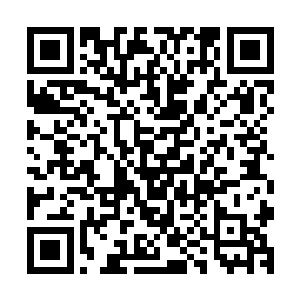 要是他们知道其实我和希山才是导致这次袭击的幕后黑手的话二维码生成
