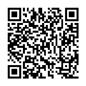 要是他们知道我和张梦雪这样的女神还同住一个屋檐下二维码生成