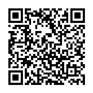 要是他发现星月剑圣没有出现或者自己有逃跑的打算二维码生成