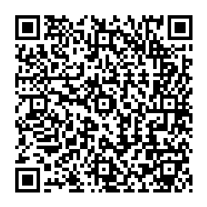要是以前贝海也不太会相信几十万美元扔出去就呆了几天还没有靓妹陪伴的凭什么收这么多钱二维码生成