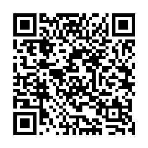 要是以后慢慢来……没有了财政收入他们拿什么东山再起二维码生成