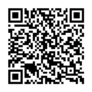 要是你小子估计早就被抹开动脉变成一具干尸了二维码生成