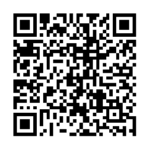 要是你痛快的交出龙炎果的话我或许会让你少受点惩罚二维码生成