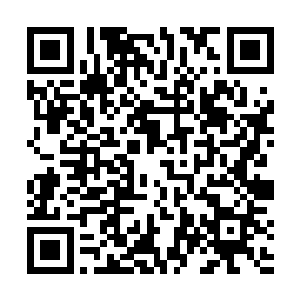 要是你输了的话你可要将你收藏的金币还有宝石都给我二维码生成