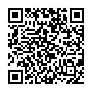 要是元宵节还跟霍斯域一起过……是不是太倒霉了点二维码生成