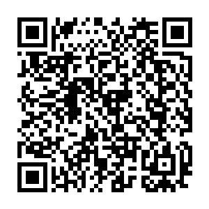 要是其它的医生受到副总统的邀请还不激动的扑上去抱住大腿狂舔了二维码生成
