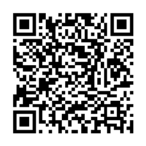 要是再不出手的话恐怕那些学员真的就坚持不住了二维码生成