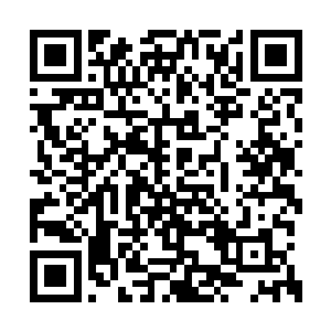 要是再去虚空中体悟一番应该差不多就能晋级了二维码生成