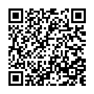 要是再没反应你就要用精神意念力催动白芒小球了二维码生成