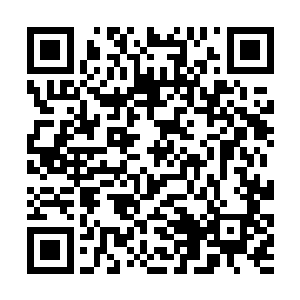 要是刚才他们赶到了的话恐怕结果也不会好到哪里去二维码生成