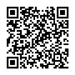 要是发生了大事被龙皇知道了的话那么凯瑟琳可就惨了二维码生成