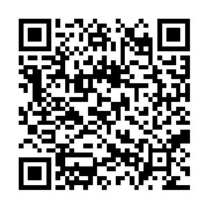 要是吃了他我灵魂应该能修复好一块碎裂的伤痕呢二维码生成