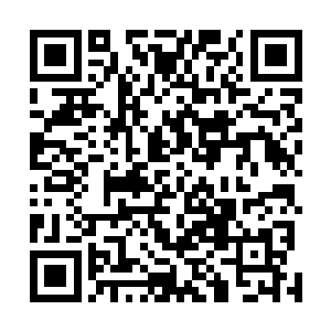 要是咱们抓住他们……陈家成为洛水城第一世家指日可待二维码生成