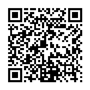 要是因为唐家家主这幅面容而以为其四肢发达头脑简单二维码生成